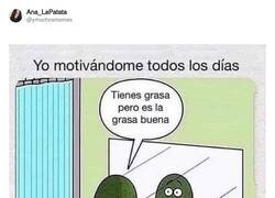 Enlace a Grasilla buena como la del aguacate, por @ymuchosmemes