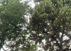 Enlace a Me estoy meando, un coche se cree que eran mujeres de calle