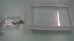 Enlace a Qué mala leche tiene el gusanito éste ¿no?, por @EsTendenciaEnX