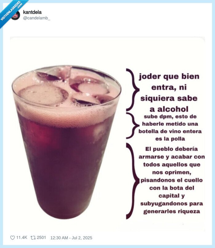 bebida,alcohol,fases