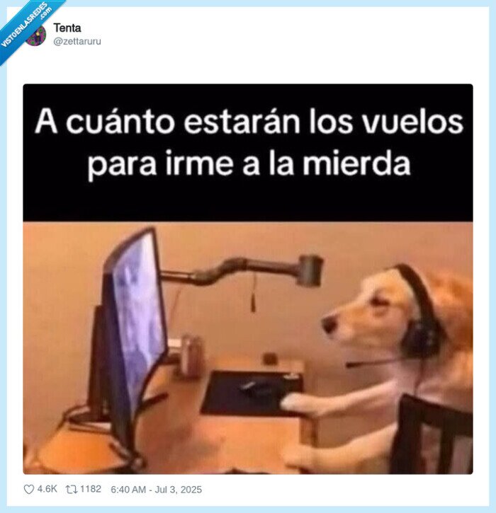 vuelos,perro,precio,irse a la m