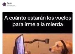 Enlace a Esos siempre están baratos, por @zettaruru