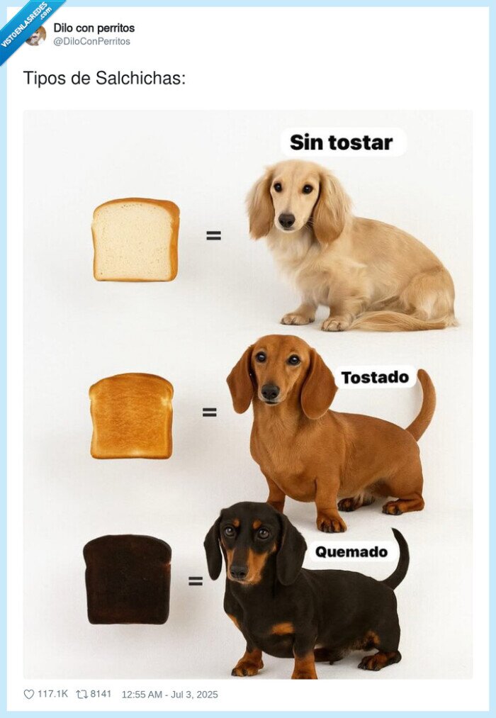 salchichas,tipos,tostada,perro