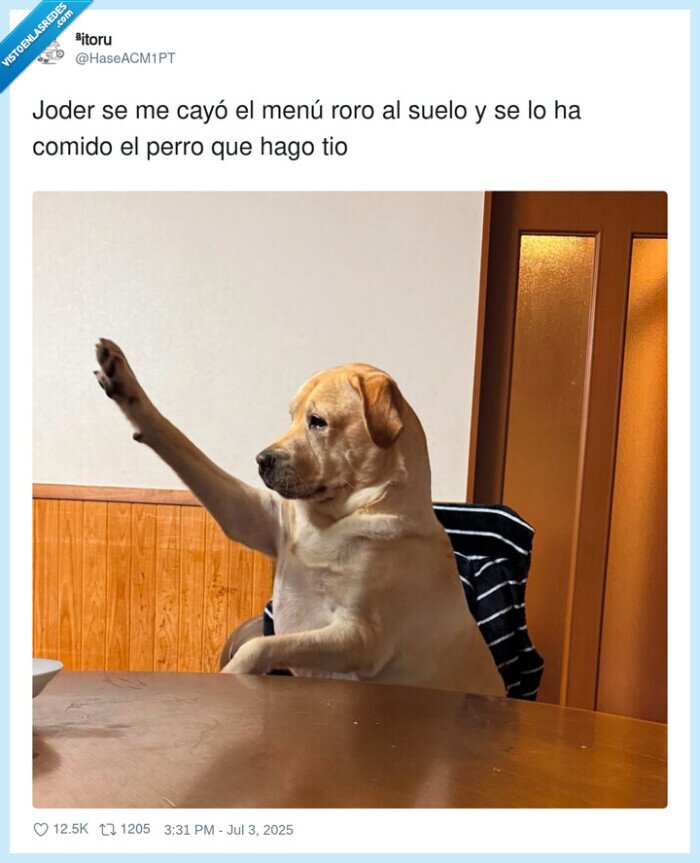 menu,perro,burger king,roro,nazi