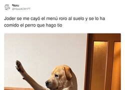 Enlace a No hay vuelta atrás, por @HaseACM1PT