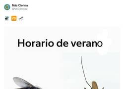 Enlace a Tú escoges tu insecto maldito, por @MsCiencia2