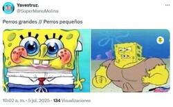 Enlace a ¿Qué se creen? por @supermanumolina