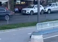 Enlace a Buen gag entre el gato, la rata y la gaviota, por @bjs_alejo2