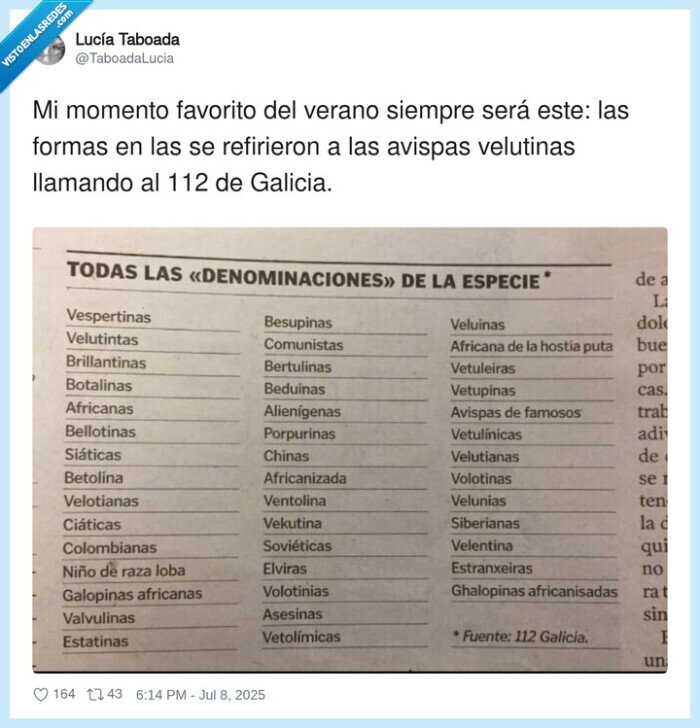 referirse,nombres,galicia,denominaciones,avispas