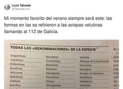 Enlace a Mi preferida es alienígenas, por @TaboadaLucia