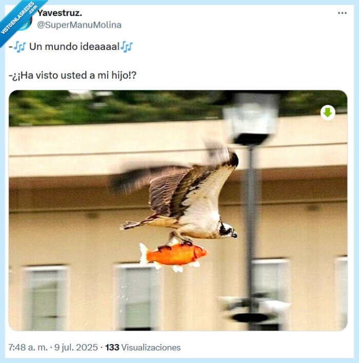 hijo,nemo,disney,aladdin