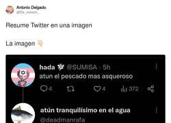 Enlace a Twitter es crispación al máximo nivel, por @De_meison_