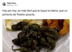 Enlace a Son cosa del pasado, por @pablopv_1972