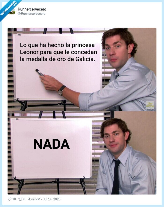 medalla de oro,galicia,princesa leonor,nada