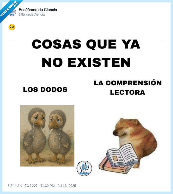 doge,cheems,dodo,existir,comprension lectora
