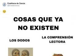 Enlace a Las dos cosas me duelen, por @EnsedeCiencia