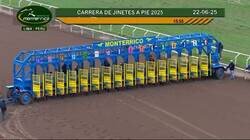 Enlace a Carrera benéfica de hípica sin caballos, lo que vendría a ser una carrera de atletismo, por @Dexerto