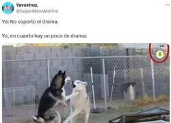 Enlace a Me puede el chisme por @supermanumolina