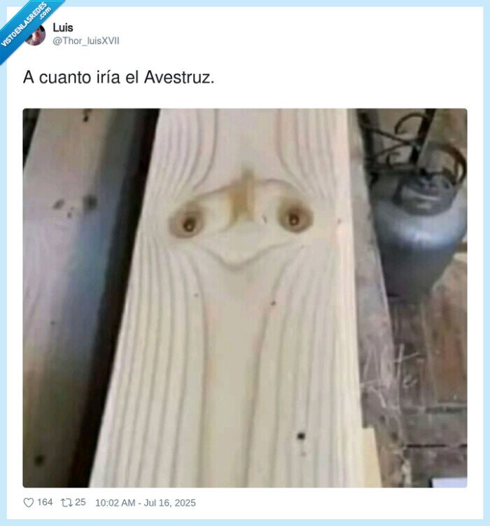 avestruz,rapido,tabla,madera