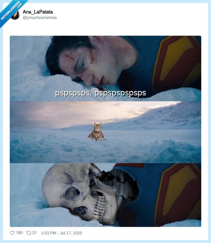 pspspspsps,gato,pasar,superman