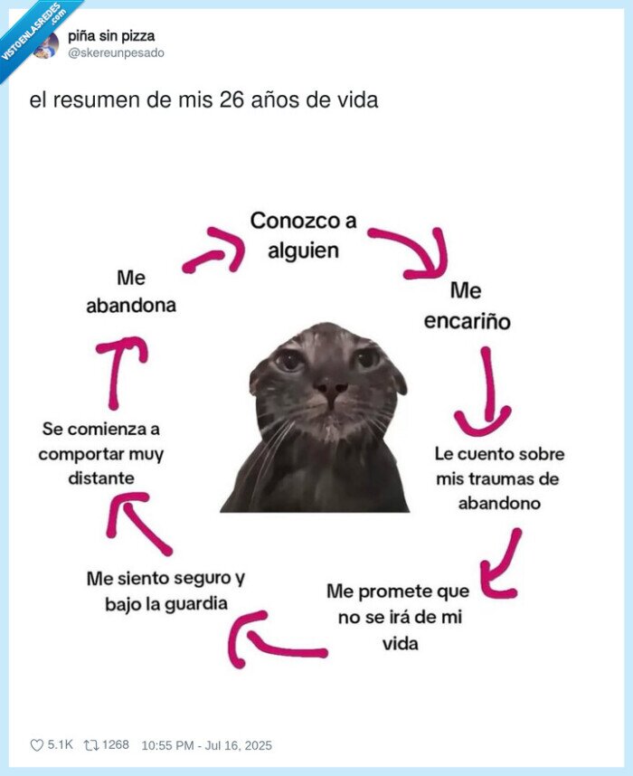 resumen,años,vida