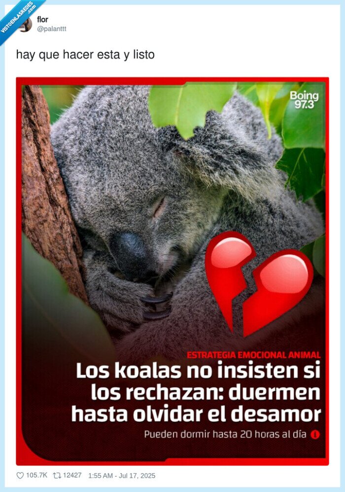 koalas,rechazar,dormir,olvidar,desamor