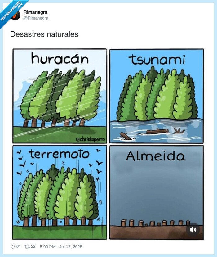 desastres naturales,árboles,talar,madrid,almeida