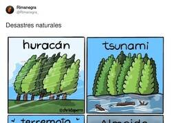 Enlace a Almeida arrasa con todo, por @Rimanegra_