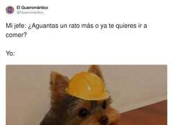 Enlace a Me como las puertas, por @Guarromantico_