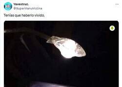 Enlace a Sin retroiluminación por @supermanumolina