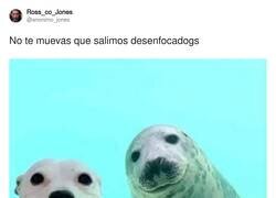 Enlace a No te muevas, por @anonimo_jones