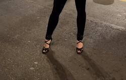 Enlace a Pensaba que la señorita haría algo menos vulgar