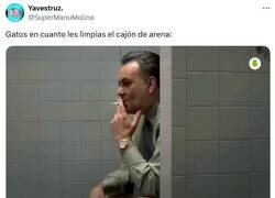 Enlace a Lo quieren limpio por @supermanumolina