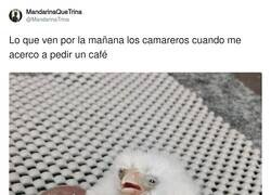 Enlace a Pensad un poco en ellos, por @MandarinaTrina