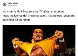 Enlace a DEP Hulk Hogan, por @YofuiaEGB
