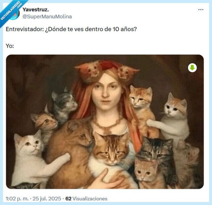 entrevistador,10 años,gatos