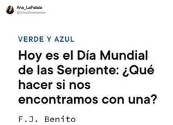 Enlace a Hay que ser educado, por @ymuchosmemes