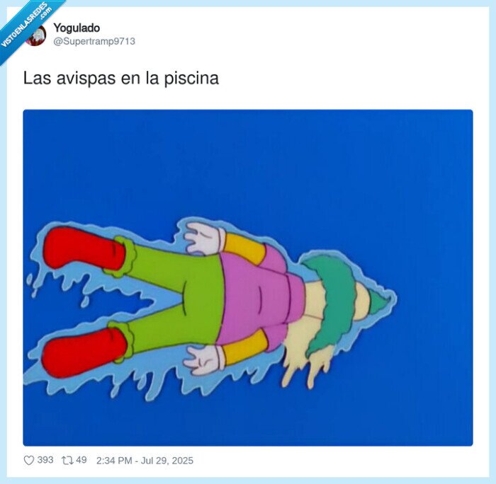 piscina,avispas,muertas