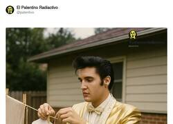 Enlace a Love me tender, por @palentivo