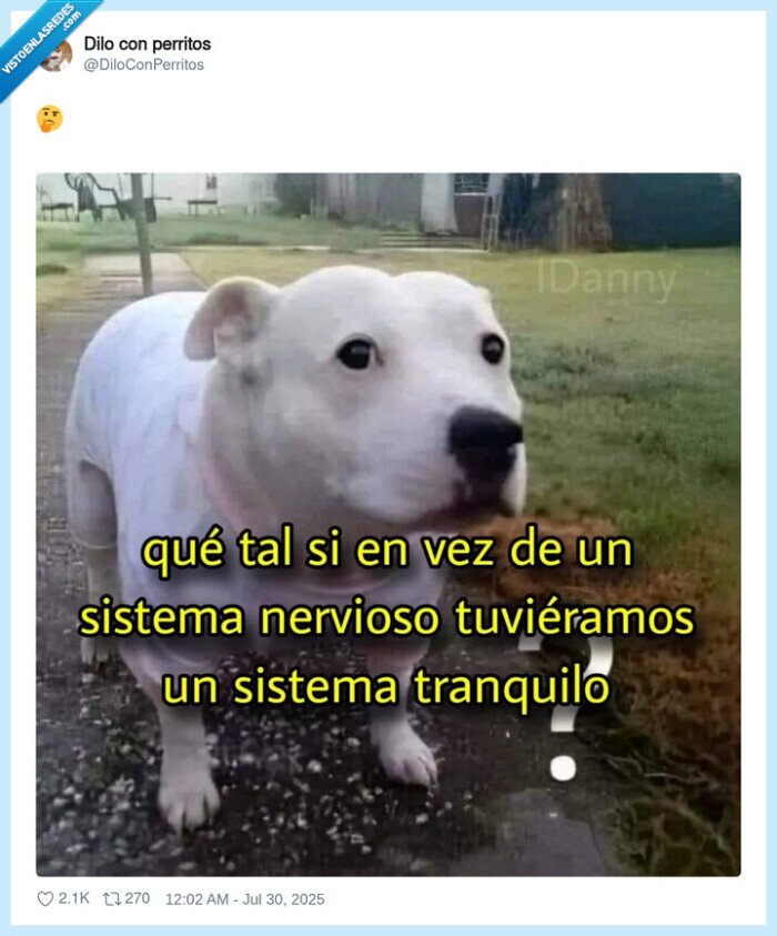 sistema nervioso,tranquilo