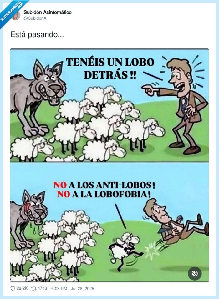lobos,ovejas,fobia