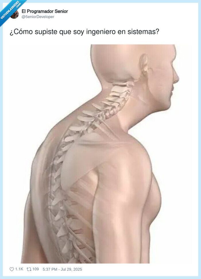 ingeniero de sistemas,chepa,cuerpo