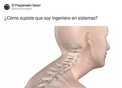 Enlace a La chepa los delata, por @5eniorDeveloper