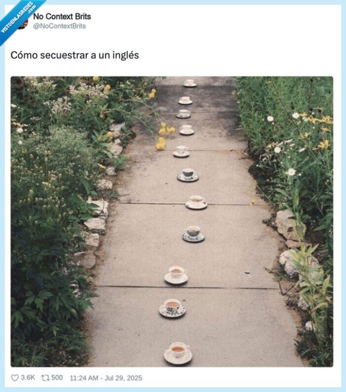 secuestro,tazas,té,inglés