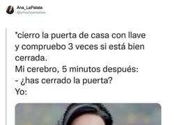 Enlace a SOY, por @ymuchosmemes