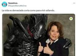 Enlace a Te perdono, humana por @supermanumolina