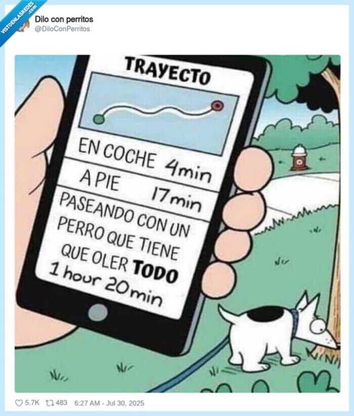 perro,pasear,tiempo,coche,a pie