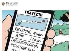 Enlace a Si tienes perro ya sabes de qué va, por @DiloConPerritos