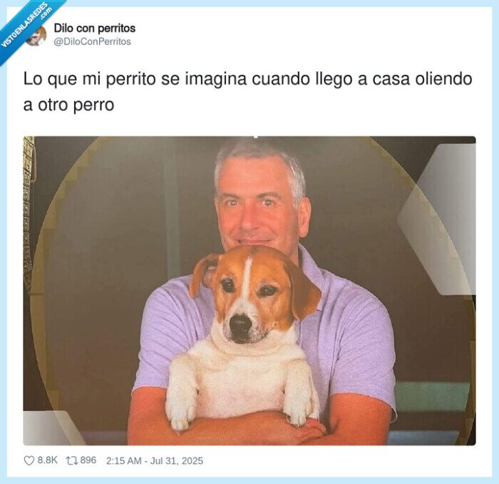 coldplay,concierto,byron,pillada,cuernos,solteros,perro