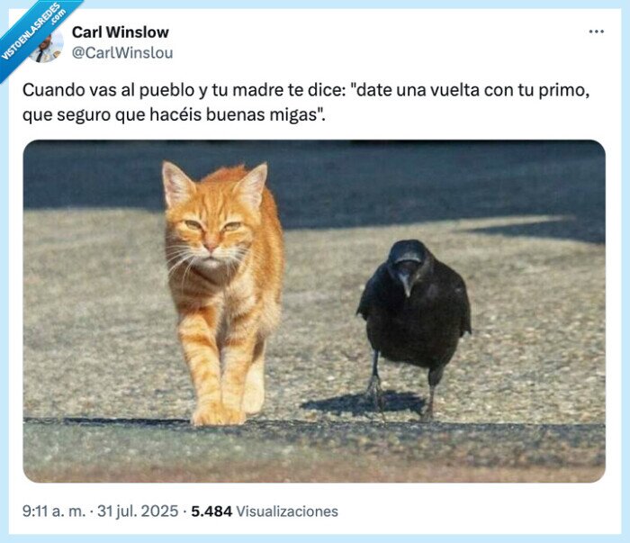 pareja,salir,gato,cuervo